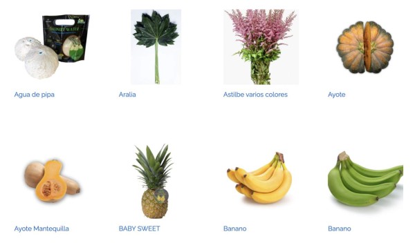 Costa Rica: Oferta agrícola se abre paso en mercados internacionales en feria virtual BTM 2020