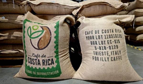 Cómo logró Costa Rica exportar su primer lote de café libre de deforestación
