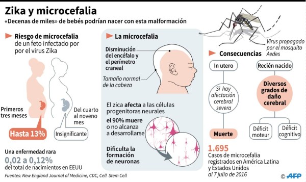 Virus del Zika puede replicarse en el tracto vaginal, dice estudio