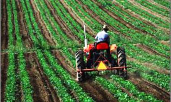 Estrategia de competitividad para la agricultura en Nicaragua