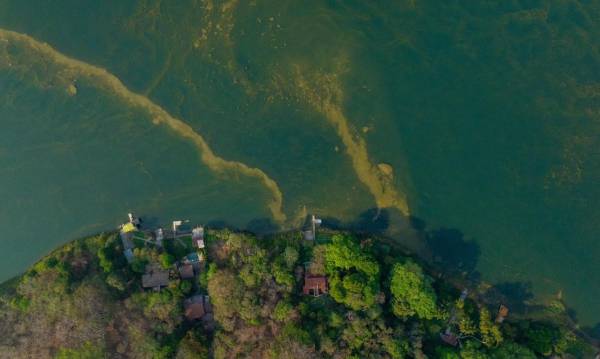 <i>La declaración de Estado de Emergencia es para ejecutar más acciones concretas y trabajar de manera coordinada con las demás instituciones gubernamentales para recuperar el lago. Foto Anbientesv</i>