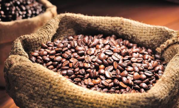 <i>Panamá produce entre 150.000 y 200.000 sacos de café al año, siendo un productor pequeño en comparación con sus vecinos, entre ellos Honduras. Foto de iStock</i>