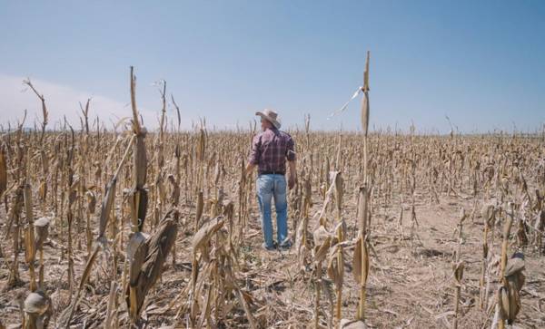Las inversiones se han centrado en la zonificación agrícola para el riesgo climático. Foto de Marccophoto / Getty Images/iStockphoto