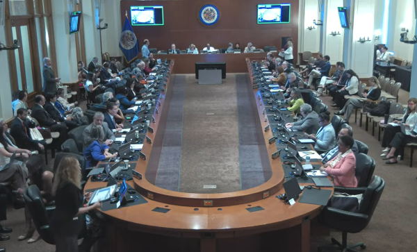 <i>La Asamblea General de la OEA descalificó las elecciones presidenciales del 7 de noviembre de 2021 que se celebraron con los principales candidatos opositores en prisión y resolvió que no fueron libres, justas ni transparentes. Foto de cortesía</i>