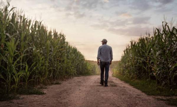 Urgen mayor trabajo colaborativo para potenciar acciones climáticas en agricultura