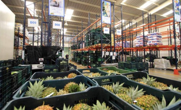 'Una mano para crecer', genera cadenas de valor en Centroamérica