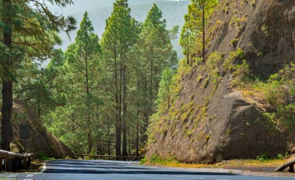 Internet de las Cosas ayudará a prevenir derrumbes en carreteras de Costa Rica