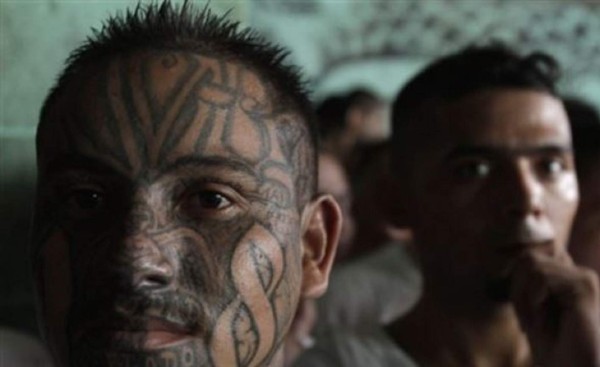 Dato estremecedor de la evolución del 'fenómeno pandillas'