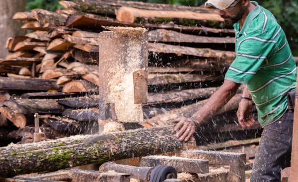 <i>Costa Rica concluyó la fase inicial de un proceso que desembocará en el primer Código Nacional de Construcción Civil con Madera. Foto de cortesía</i>