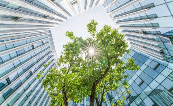 Más de 20.000 entidades en 167 países que pertenecen a la iniciativa empresarial líder en sostenibilidad actualmente. Foto de iStock