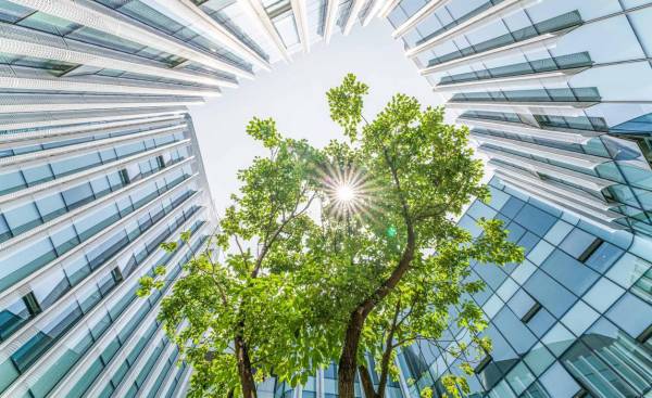 <i>Para 60 % de las empresas de la región, la gestión ASG contribuye directamente a mejorar la calidad de vida y el cuidado del entorno. Foto de iStock</i>