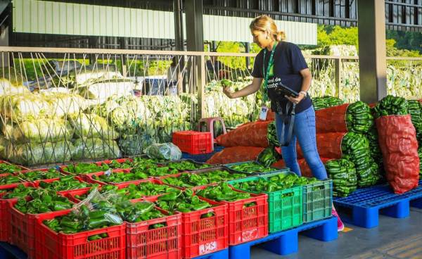La mayoría de productos de la canasta básica llega a El Salvador de Guatemala, Honduras y Nicaragua para cubrir la demanda local. Foto cortesía