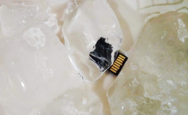 ¿Cuál tipo de tarjeta SD o microSD es la que necesito?