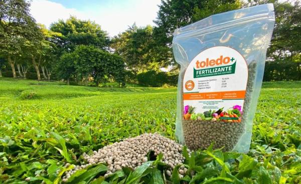 Desarrollan primer fertilizante basado en economía circular usando nutrientes recuperados de residuos agrícolas. Foto cortesía