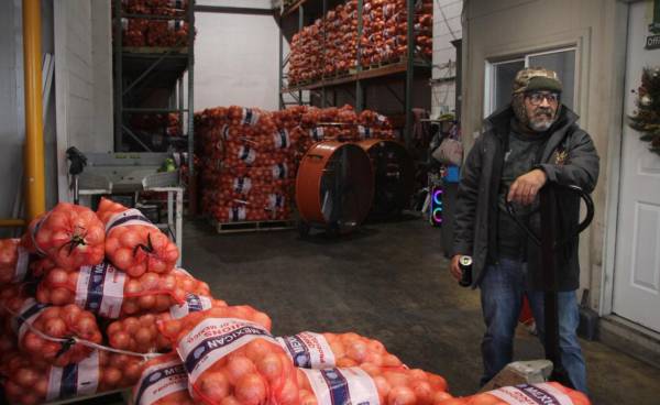 Trabajadores del mercado de abastos de la ciudad fronteriza de McAllen (Texas) descargan caja tras caja de tomates, cilantro, aguacates y limones. Foto de EFE/ James Rodríguez