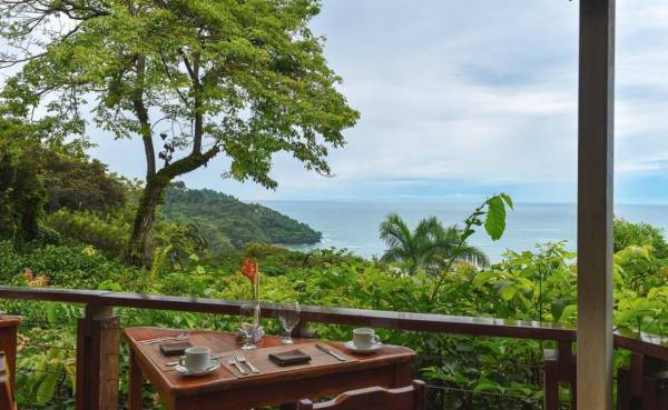 <i>Foto tomada en Tulemar Gardens, Parque Nacional Manuel Antonio, Quepos 60601 Costa Rica. FOTO tripadvisor.es</i>