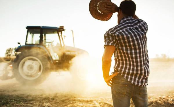 <i>En el área urbana, el ingreso laboral alcanza 12,167 lempiras, unos US$450 mensuales, mientras que en el área rural se reduce a 7,609 lempiras, cerca de US$282. Foto de iStock</i>