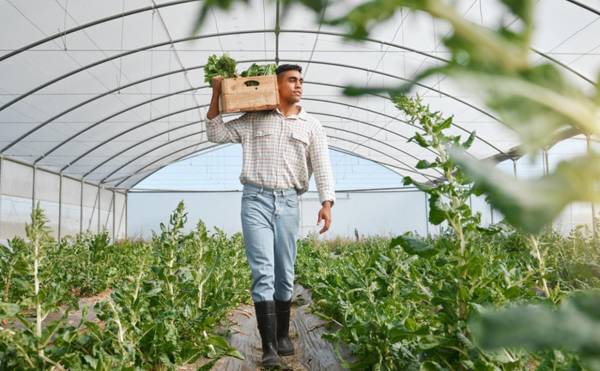 <i>De acuerdo con la firma, “la agroindustria necesita personas capaces de aprender nuevas herramientas a medida que aparecen y, sobre todo, de entender para qué utilizarlas”. Foto de iStock</i>