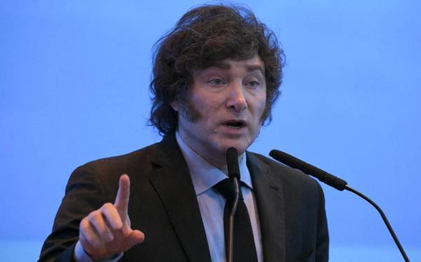 <i>El informe observa que, sin la promoción de Javier Milei en su cuenta oficial en la red X, el proyecto $LIBRA no habría alcanzado el volumen de compra registrado. Foto de EFE</i>