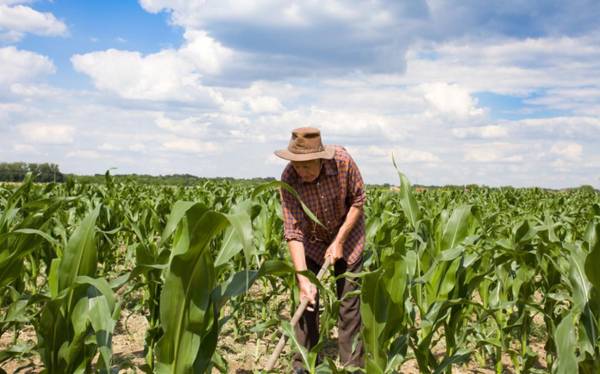 Costa Rica: familias se ven amenazadas por problemas del sector agropecuario