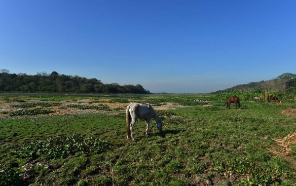 Honduras vive emergencia por sequía