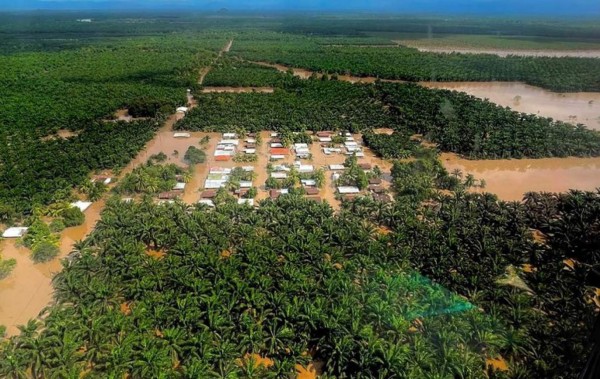 FOTO LA PRENSA DE HONDURAS