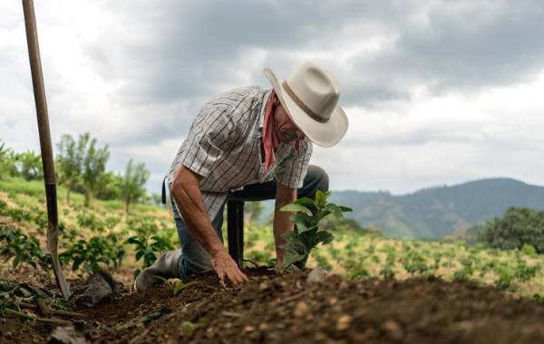 <i>Guatemala prepara medidas para reforzar el almacenamiento y la conservación de alimentos de cara a 2027. andresr / Getty Images</i>