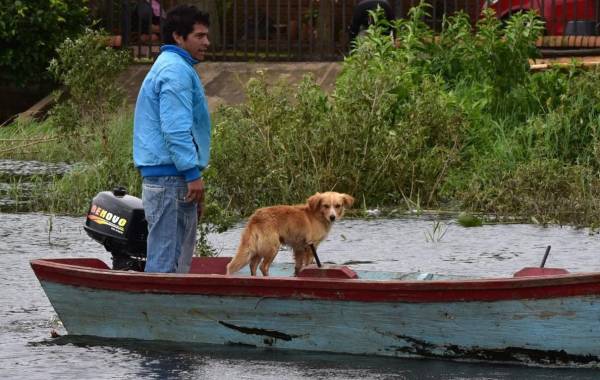 El Niño deja miles de desplazados por inundaciones en Sudamérica