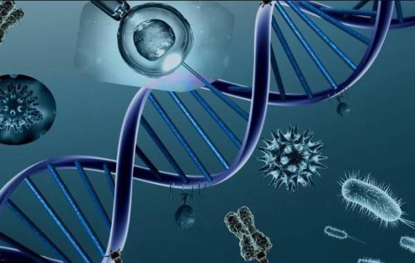 Genética describe 10.000 años de evolución de inmunidad humana