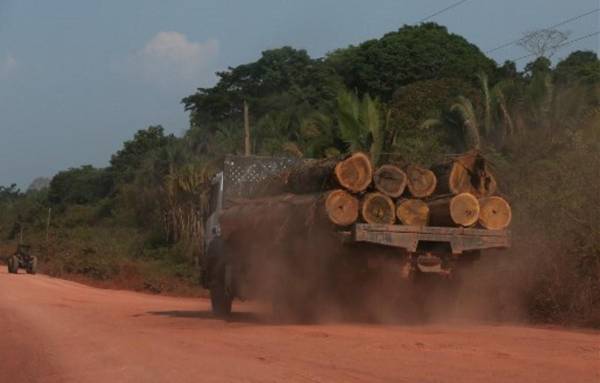 En 2022 se extrajeron unos 1.970 millones de m3 para combustible de madera. Foto de MICHAEL DANTAS / AFP
