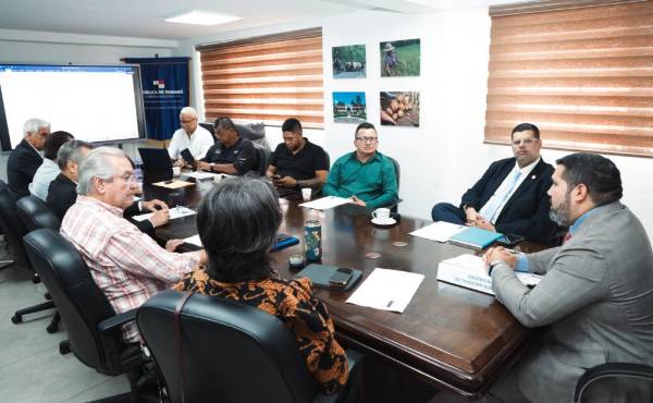 <i>PROMAGRO celebró su reunión ordinaria, presidida por el viceministro de Desarrollo Agropecuario, José Aníbal Rincón, con la participación de representantes de instituciones del Estado, gremios del sector y miembros de la Unidad Técnica. Foto de cortesía </i>