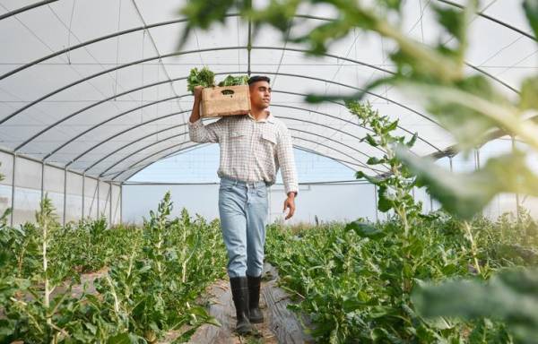 Casi la mitad de la población mundial vive en hogares vinculados a sistemas agroalimentarios