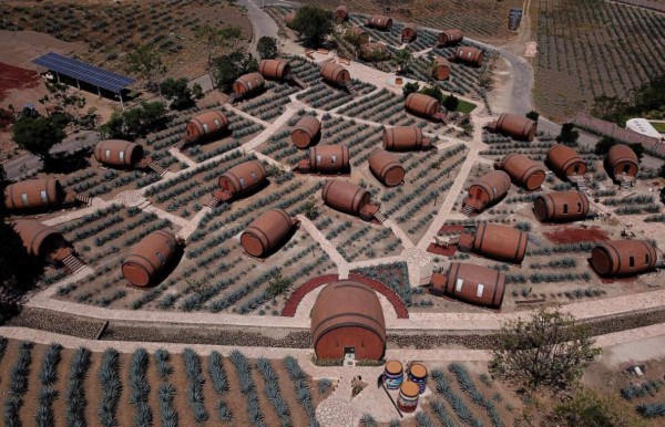 Hotel mexicano ofrece a sus huéspedes dormir dentro de barrica de tequila