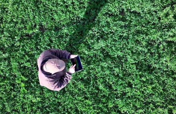 Disagro lanza AgritecGEO, una solución de agricultura de precisión