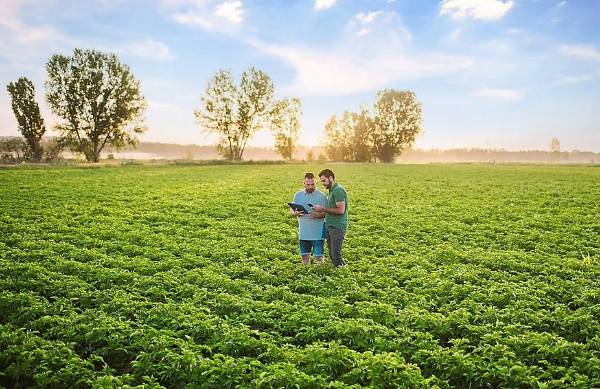 <i>En el frente agropecuario, la actividad creció 3 %, impulsada por el café, cuyo precio internacional alcanzó máximos históricos debido a una menor oferta global. Foto de iStock</i>