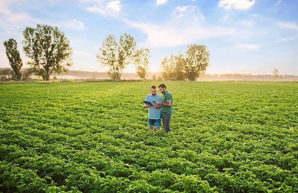 América Latina destaca por su crecimiento en las patentes para tecnologías agrícolas