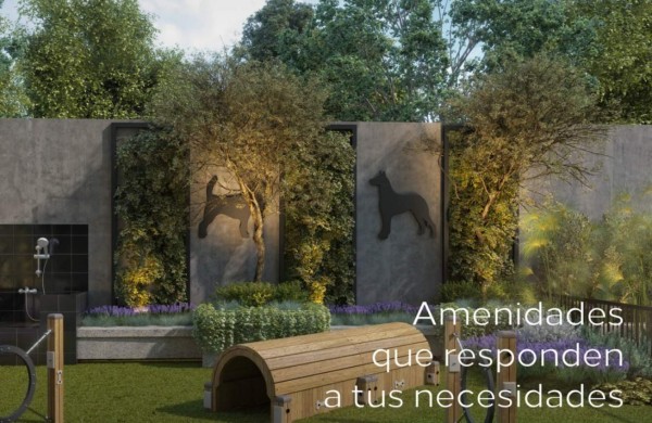 Naori Z. 10: Difícil de igualar, fácil de adquirir