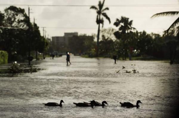 'Irma' se degrada a tormenta tropical mientras cruza Florida