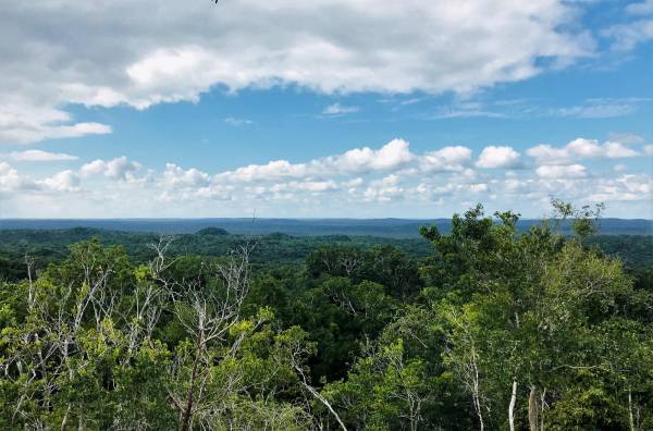 Grupo AJE impulsará economías circulares en bosques de Centroamérica