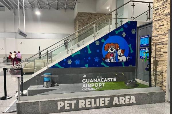 Mascotas cuentan con su propia área en Guanacaste Aeropuerto de Costa Rica