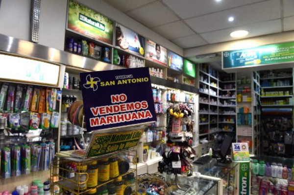 Uruguay, primer país en vender marihuana del Estado