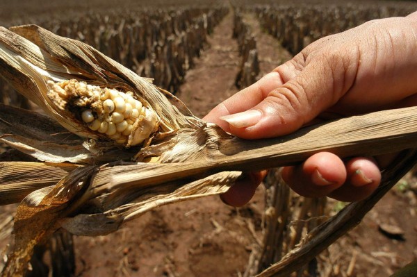 Guatemala espera canícula para fines de este mes