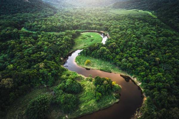 BM: Brasil debe invertir 0,5 % del PIB para lograr metas climáticas