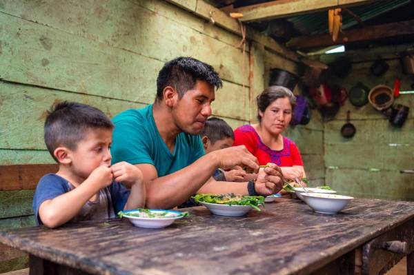 El impacto del fenómeno climático El Niño en las cosechas sumará 16 millones de personas en situación de inseguridad alimentaria en América Latina -49 millones en todo el mundo-. Foto de cortesía