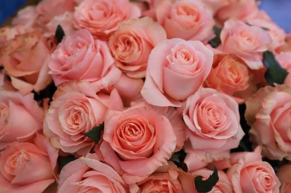 <i>Este año, los exportadores han apostado por bouquets terminados y diseños más elaborados que combinan varias especies en un solo arreglo. Foto de cortesía</i>