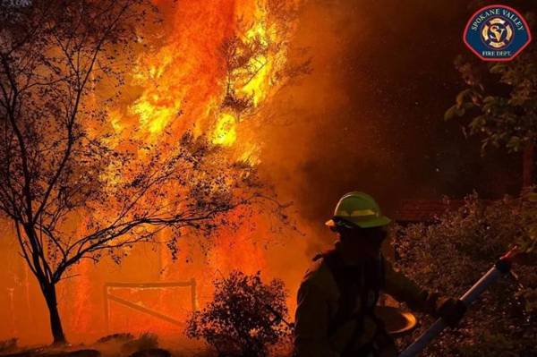 <i>En lo que va de año, los bomberos respondieron a 45.184 incendios forestales, en los Estados Unidos. (Foto: EFE)</i>