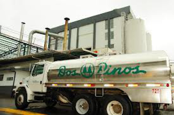 Dos Pinos invierte US$31 millones en planta de secado de leche.