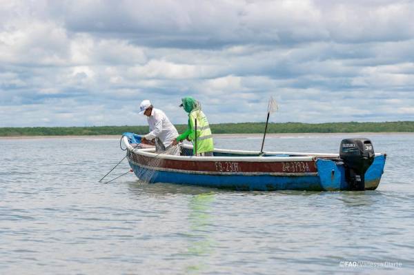 Crean nueva red para acuicultores de Mesoamérica