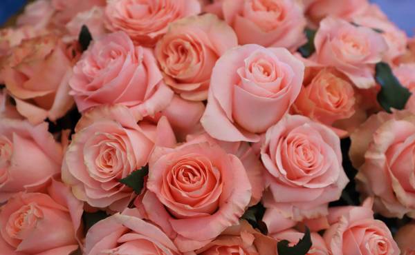 <i>Este año, los exportadores han apostado por bouquets terminados y diseños más elaborados que combinan varias especies en un solo arreglo. Foto de cortesía</i>