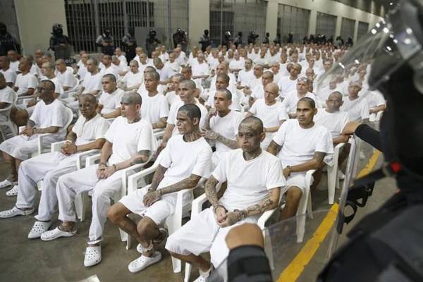 A través de pantallas, los pandilleros juzgados pueden seguir desde el Cecot (a las afueras de la capital) las instancias del megajuicio que concreta sus actuaciones en un juzgado ubicado en San Salvador. (Foto: EFE)